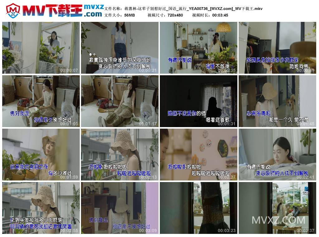 蒋蕙林-这辈子别想好过_国语_流行_YEA00736